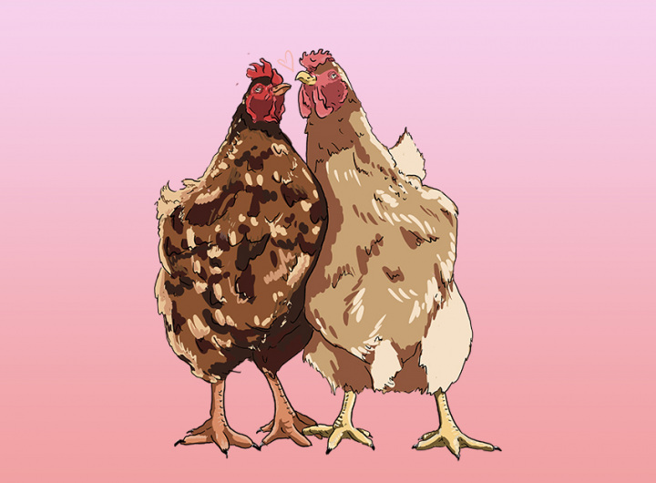 Chicken Shop Dates: Valentines Day