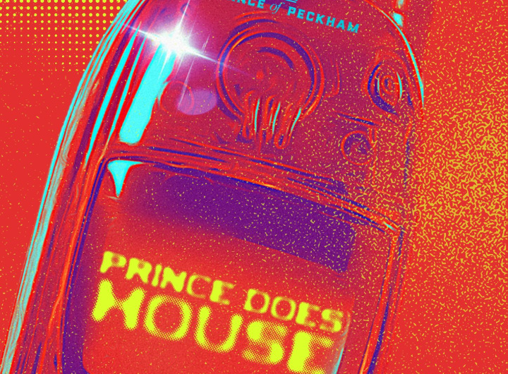PRINCE DOES HOUSE