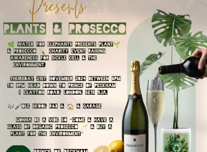 Water For Elephants Presents Plants & Prosecco